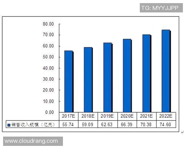 福建浔兴股份全面解析：产业布局与市场前景分析