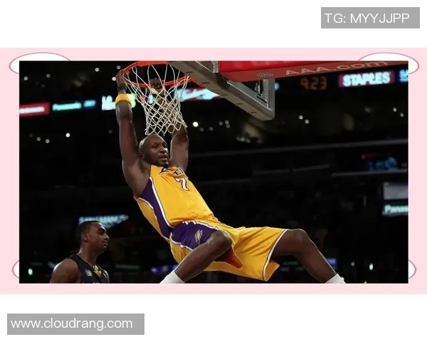 篮球巨星们的奋斗与荣耀:从球场到人生的传奇历程